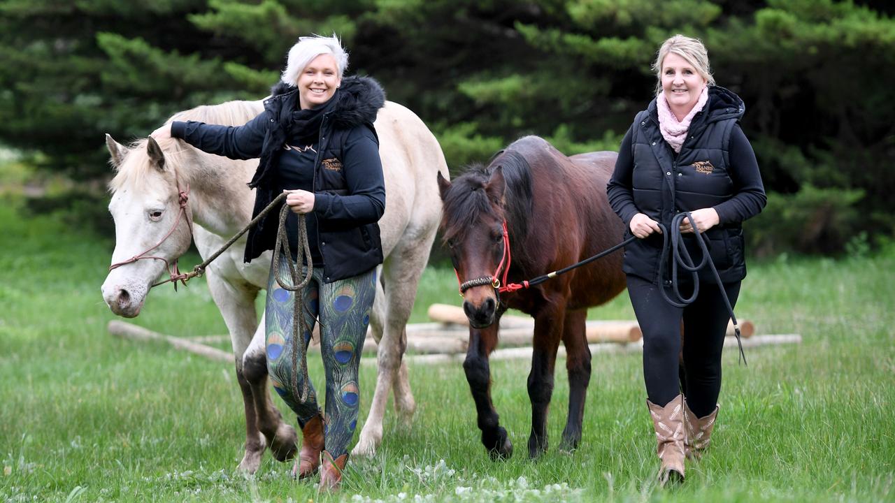 Manes of Change business partners Bec Jeyaseelan and Jo Harmer with therapy horses Cloud Tiny T. Picture: Tricia Watkinson