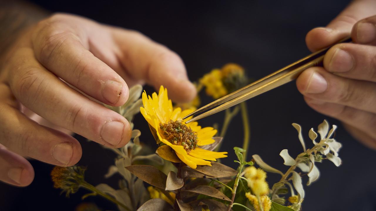 Chef Justin James finishes a flower dish at Restaurant Botanic. Picture: Matt Loxton