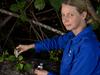 Killer ant ‘super colonies’ wreak havoc across suburbs