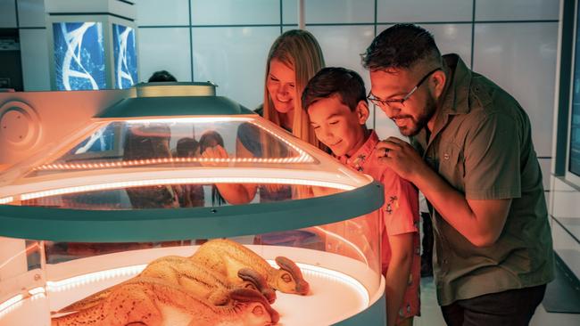 See dinosaurs come to life at SuperLuna Pavilion.