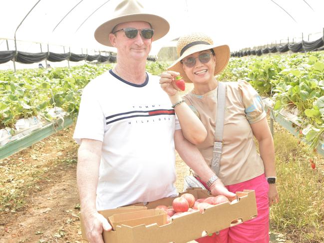 Kevin and Marissa with their delicious looking strawberries from Stanthorpe produce farm Eastern Colour during the Apple and Grape Harvest Festival on Saturday, March 2, 2024. Photo: Jessica Klein