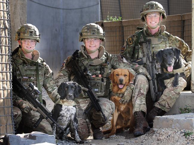 The dogs from the British Army’s Military Working Dogs Regiment are helping protect Australian soldiers. Picture: Gary Ramage