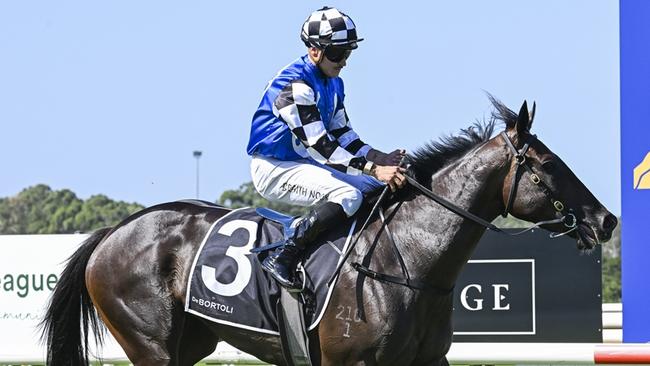 The Peter Snowden-trained Written Scandal looks well-placed at Kembla Grange on Tuesday. Picture: Bradley Photos