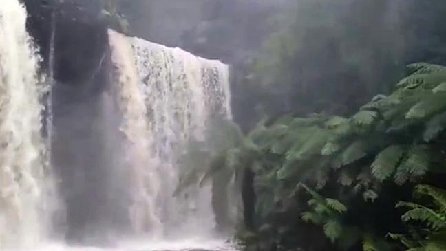 Russell Falls at its spectacular best