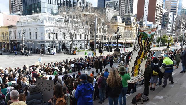 Protesters called out the damaging environmental impact of native forest logging. Picture: NCA NewsWire / Josie Hayden