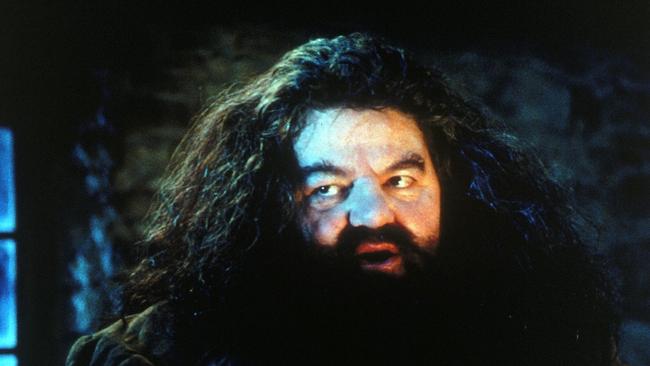Hagrid Actor Robbie Coltrane Rushed To Hospital After Flight Au — Australias Leading 9765
