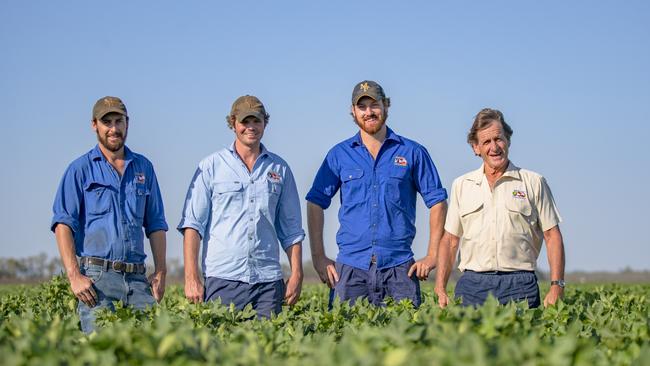 Matt, Sam, Daniel and James Kahl in a cotton crop on their farm at Wee Waa in northern NSW. Picture: Joshua Smith