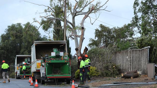 Council workers clear up the mess left behind by the possible tornado. Pic Tait Schmaal.