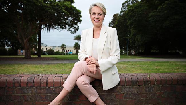 Tanya Plibersek in Balmain, Sydney, on Wednesday has been mooted as a potential Labor leader. Picture: Adam Yip