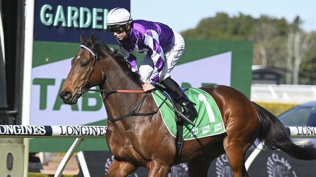 Ljungberg (Adam Hyeronimus) at Rosehill Gardens on July 1 2023. Picture: Bradley Photos