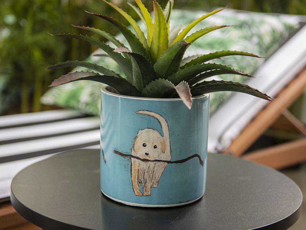 Bunnings releases new plant pots created by Indigenous artist. Picture: Supplied