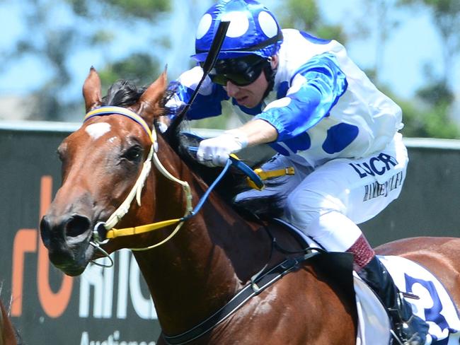 Jockey Paul Hammersley rode the Bryan and Daniel Guy-trained Junction to victory in the QTIS Two-Year-Old Maiden Plate (1200m) at the Gold Coast on Wednesday, January 25. Picture credit: Grant Peters, Trackside Photography.