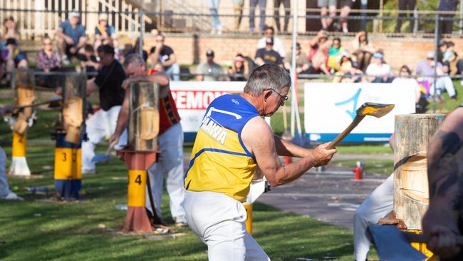 Men’s whoo-chopping at the Royal Adelaide Show Picture: Brett Hartwig