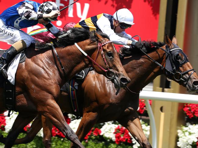 Raw Impulse (black and white checked cap) showed last start he is rediscovering form. Picture: Michael Klein