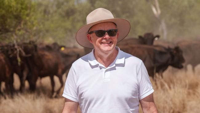 08-01-2024 - Prime Minister Anthony Albanese pictured on a cattle station in Lake Nash (Alpurrurulam) in the Northern Territory. Picture: PMO