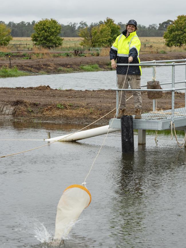 Arcadia Fish Hatchery production supervisor Jarryd McGowan collects a plankton sample Picture: Zoe Phillips