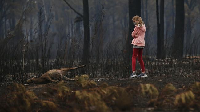 Millions of animals have been killed in the fires. Picture: David Caird