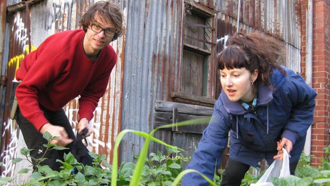 Eat your weeds: grab a free lunch in Melbourne’s parks and gardens ...