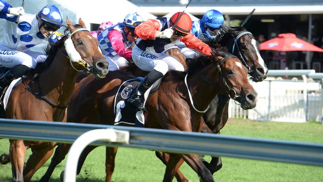 My Little Flicka winning at Doomben. Photo: Grant Peters, Trackside Photography.