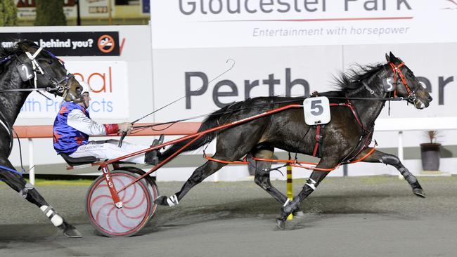 Gloucester Park pacing action from Friday 13th June 2014. Isaiah Artois driven by Colin Brown convincingly wins the $100,000 International Animal Health Pearl classic for trainer David Thompson and owner S.Johnson. PICTURE : BILL CRABB.