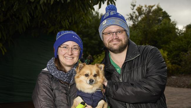 Million Paws Walk at Adelaide Botanic Gardens. Picture: Matt Loxton