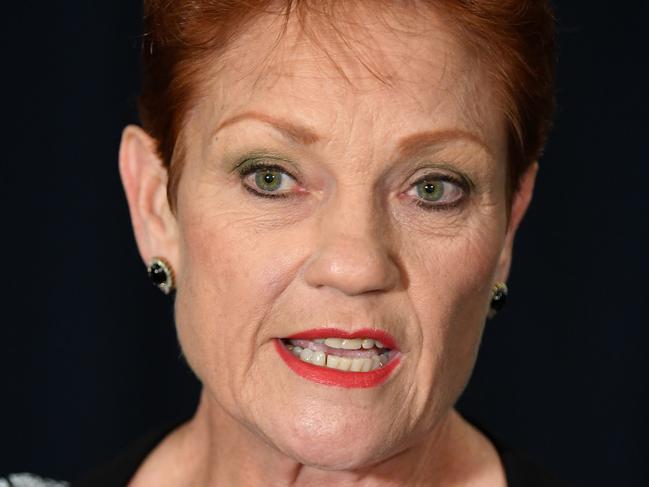 One Nation leader Senator Pauline Hanson holds a doorstop following the opening of the 57th Parliament at NSW Parliament in Sydney, Tuesday, May 7, 2019. (AAP Image/Joel Carrett) NO ARCHIVING