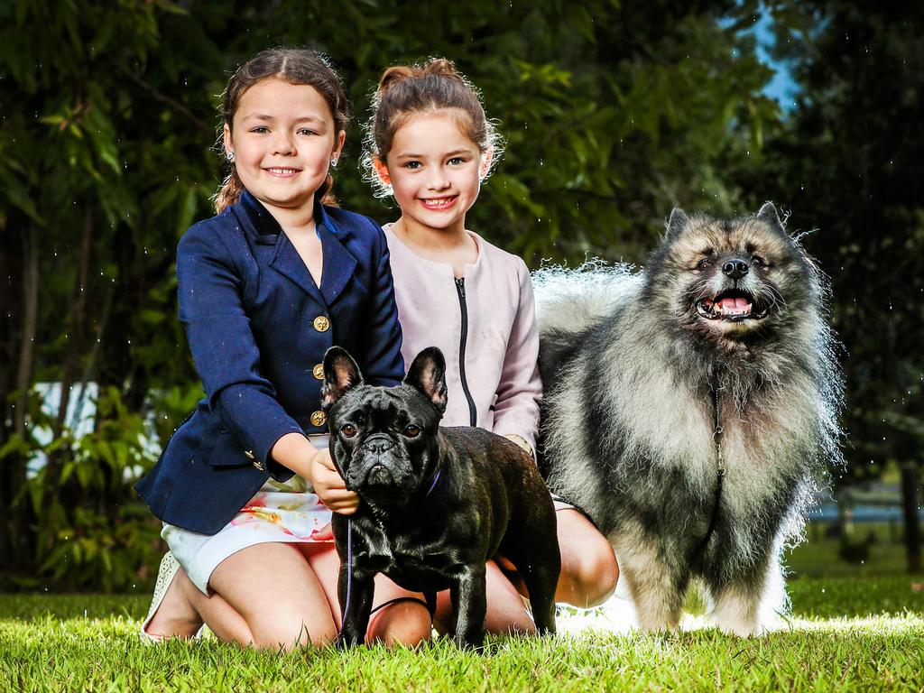 Taylor, 9, and Ruby, 8, Watson entered the Junior Canine Handler Competition with Beau (French Bulldog) and Tucker (Keeshond) while mum Alisa Watson entered her French bulldogs in 2021. Picture: Nigel Hallett