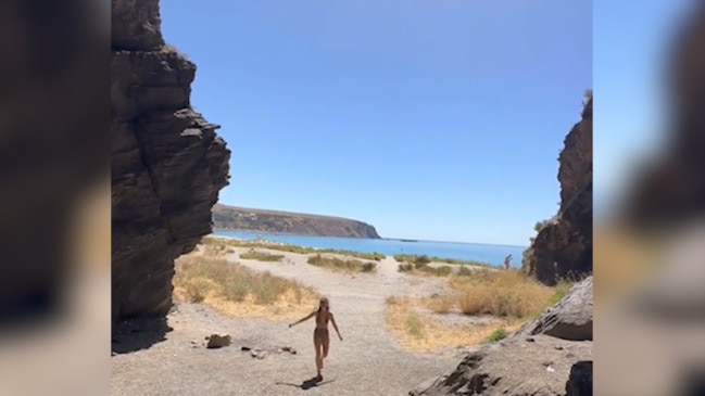 Lost Coast Aussies