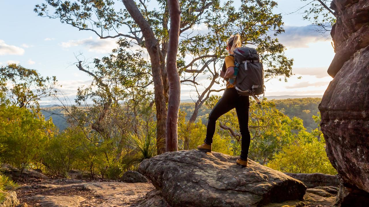 Aldi hiking cheap backpack