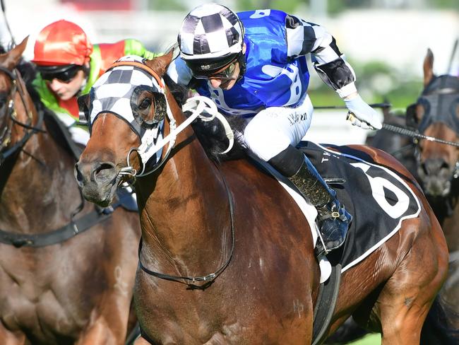 Dream Hour secures a spot in the Stradbroke Handicap by winning The Gateway at Eagle Farm. Picture: Natasha Wood - Trackside Photography