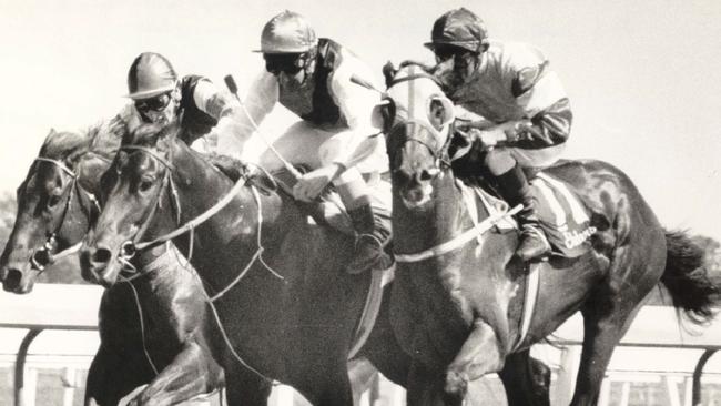 Molokai Prince, ridden by jockey Ron Quinton, was bumped by Prince Regent. Picture: Barry Pascoe