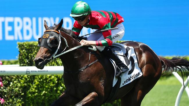 Rivellino, pictured winning at Randwick in early January, is Shayne O’Cass’s tip to win the $2m Inglis Millennium on Saturday. Picture: Jeremy Ng / Getty Images