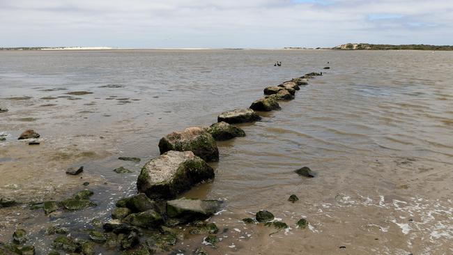 Flood events such as South Australia’s River Murray flood across 2022-23 can lead to an increase in mosquito breeding. Picture: NCA NewsWire / Kelly Barnes