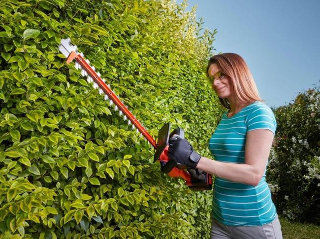 These are the best hedge trimmers on the market right now.