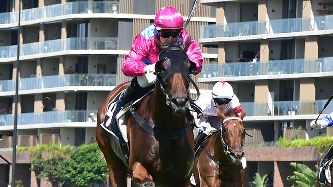 Philia will line up in the Princess Stakes on Saturday at Eagle Farm. Picture: Grant Peters/Trackside Photography