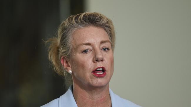 Coalition senator Bridget McKenzie says abortion is a ‘moral dilemma’. Picture: NewsWire / Martin Ollman