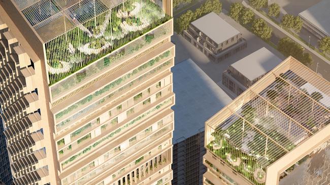 The winning design will have a publicly accessible “botanic garden” on the roof.