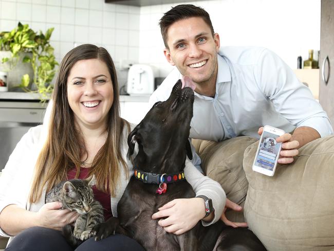 Vet Ashley Saunders holds Smudge the kitten and app founder Morgan Coleman gets a lick from his dog Milky. Picture: David Caird