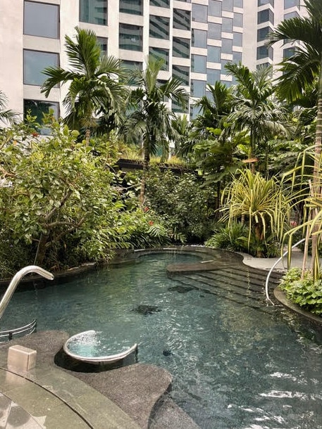 The Grand Hyatt's wellness pool.