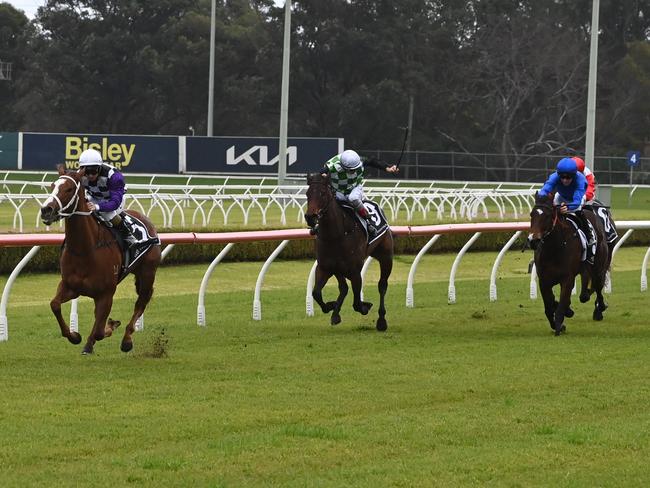 Extremely Hardys wins her debut by six-lengths at Canterbury on Wednesday. Photo: Bradley Photos.