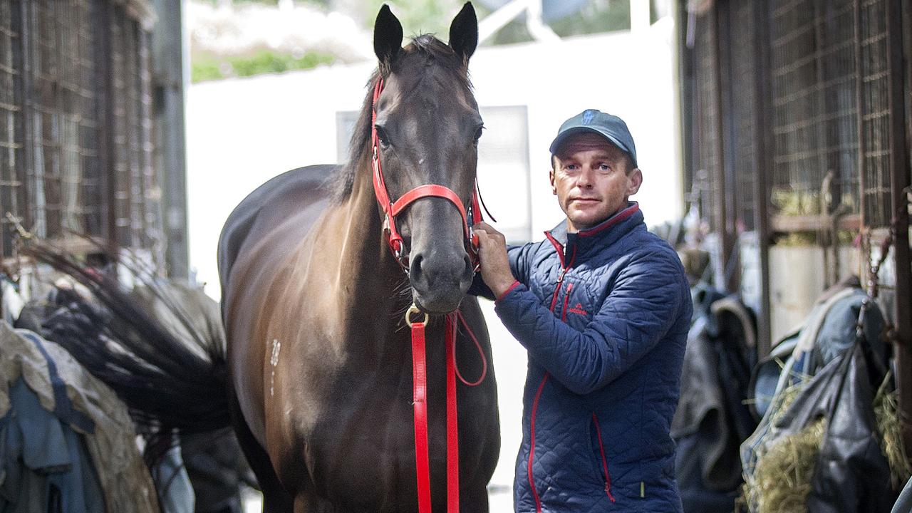 Trainer Adam Trinder has plenty of race options with his star filly Mystic Journey. Picture: Chris Kidd