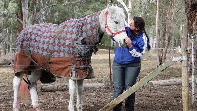 Helen Monday with Gizmo who was rescued by a heroic neighbour. He is recovering from injuries sustained during the storm.