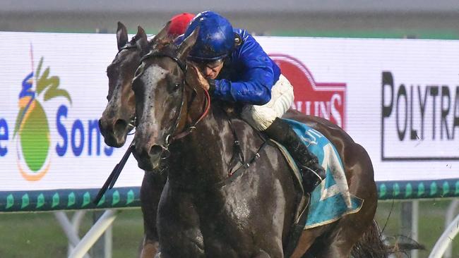 1) The James Cummings-trained filly Pinito wins the $160,000 Listed Gold Coast Bracelet (1800m) on a heavy track at the Gold Coast on Saturday, May 10, 2025. Picture: Bethany Allday / Trackside Photography