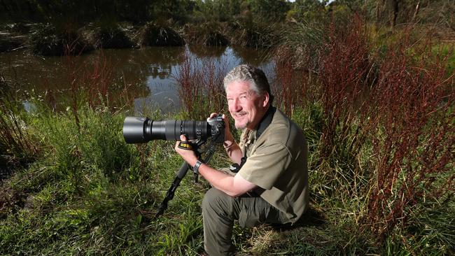 Birds SA’s John Gitsham says people are reporting that birds are moving around more. Picture: Tait Schmaal