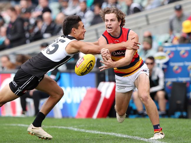 Saturday, 1st April, 2023 - SANFL Showdown. Port Adelaide v Adelaide Crows at the Adelaide Oval. Zac Taylor of the Adelaide Crows Picture: Sarah Reed