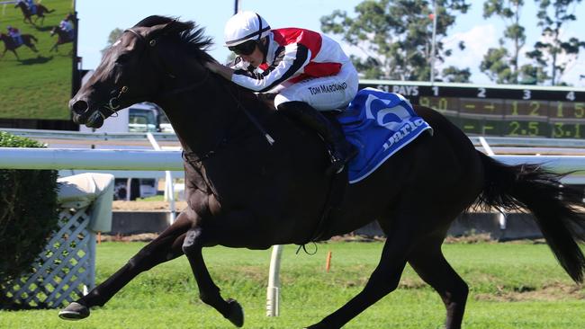 Blesk can break through at Rosehill on Saturday. Picture: Grant Guy