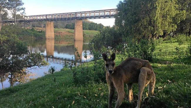 END OF AN ERA: Tabulam grazier John Cousins has started an indigenous and non-indigenous petition to protest the impending demolition of the historic Tabulam Bridge. Picture: John Cousins