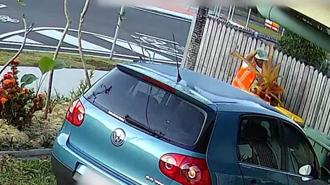 Alleged thief steals plant on video