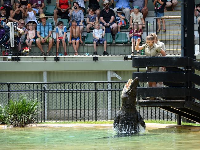Bindi Irwin feeds a crocodile at Australia Zoo. Picture: Ben Beaden / Australia Zoo