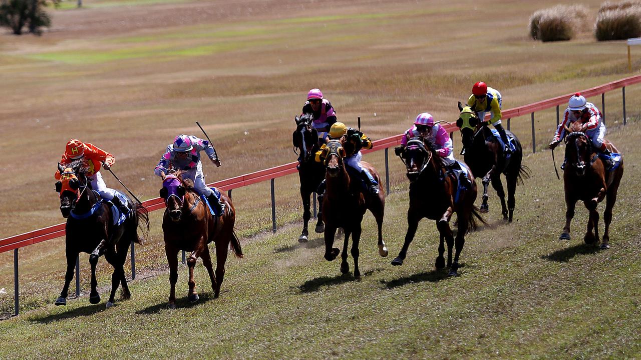 Gordonvale Cup: Pawsey returns, Thomson shines on Cup Day | The Cairns Post